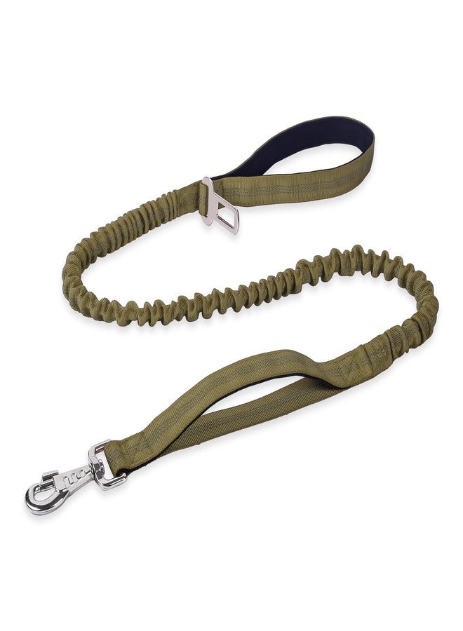 BUMBIN 6Ft Dog Leash, Bungee Dog Leash with 2 Handles, Heavy Duty Leashes for Medium Small Dogs, No Pull Shock Absorbing with Car Seat Belt for Training, Green - Image 1