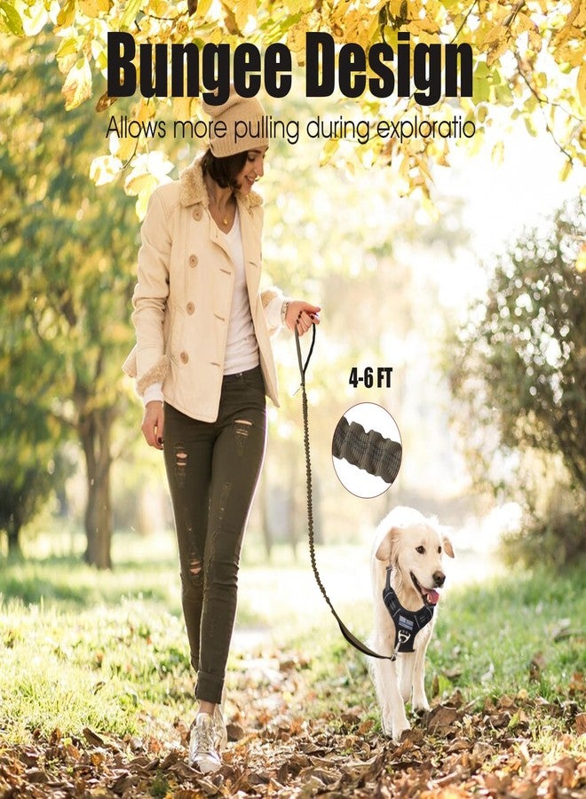 BUMBIN 6Ft Dog Leash, Bungee Dog Leash with 2 Handles, Heavy Duty Leashes for Medium Small Dogs, No Pull Shock Absorbing with Car Seat Belt for Training, Green - Image 2