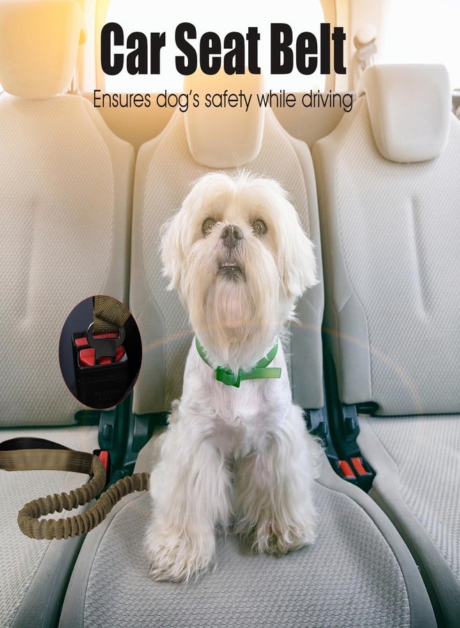 BUMBIN 6Ft Dog Leash, Bungee Dog Leash with 2 Handles, Heavy Duty Leashes for Medium Small Dogs, No Pull Shock Absorbing with Car Seat Belt for Training, Green - Image 4