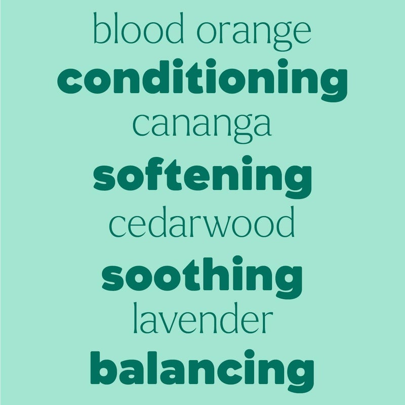 Plant Therapy Hair Therapy KidSafe Detangler Frizz-Taming Spray 8 oz Smooth, Soften & Detangle, Paraben & Synthetic Fragrance Free, Vegan, Argan, Jojba & Aloe Vera - Image 5