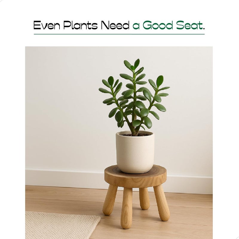 ABBI NIMO كرسي خطوة خشبي صلب 7 بوصة من خشب حلقة النمو الطبيعية للبالغين والأطفال والصغار، رافع بسيط وذو تصميم مMinimalist للنباتات وديكور المنزل - Image 5
