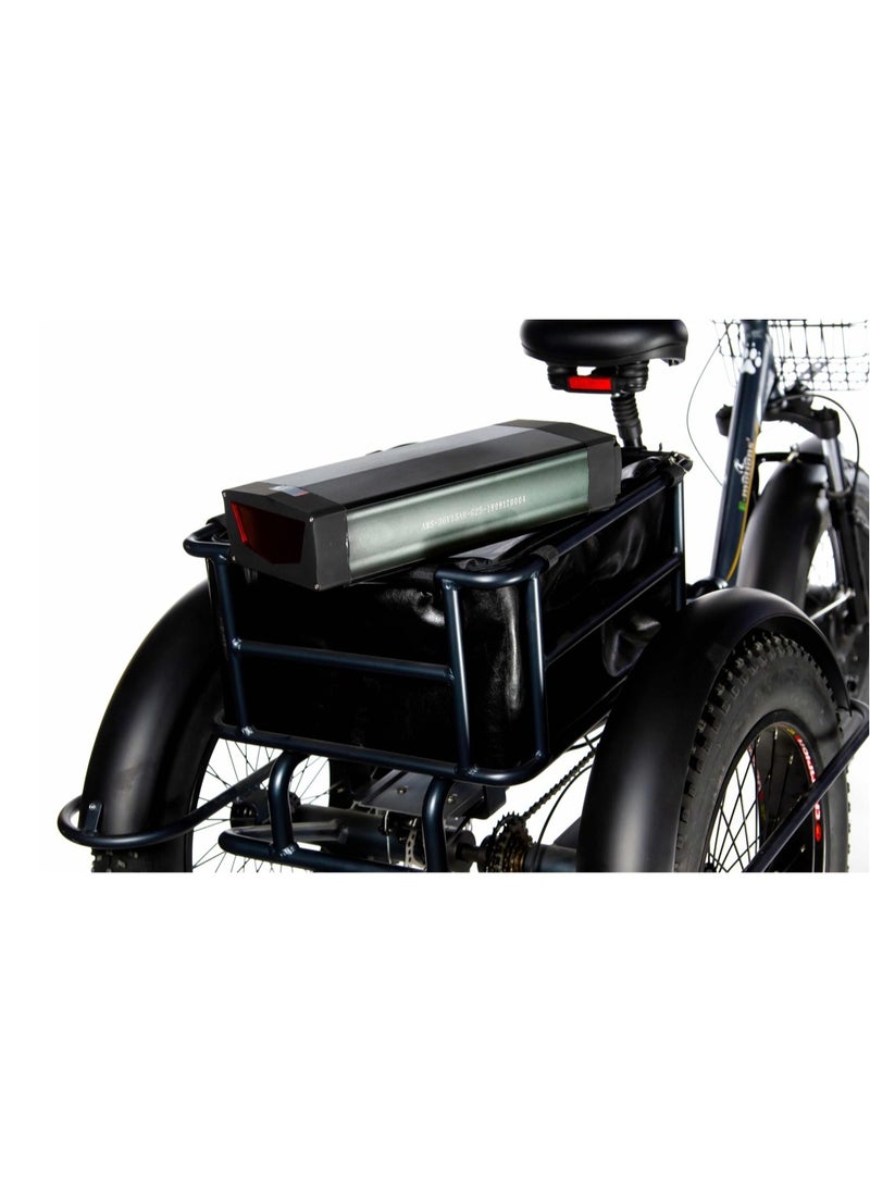 Emotions - E-Bike E-motions Panda - Image 1