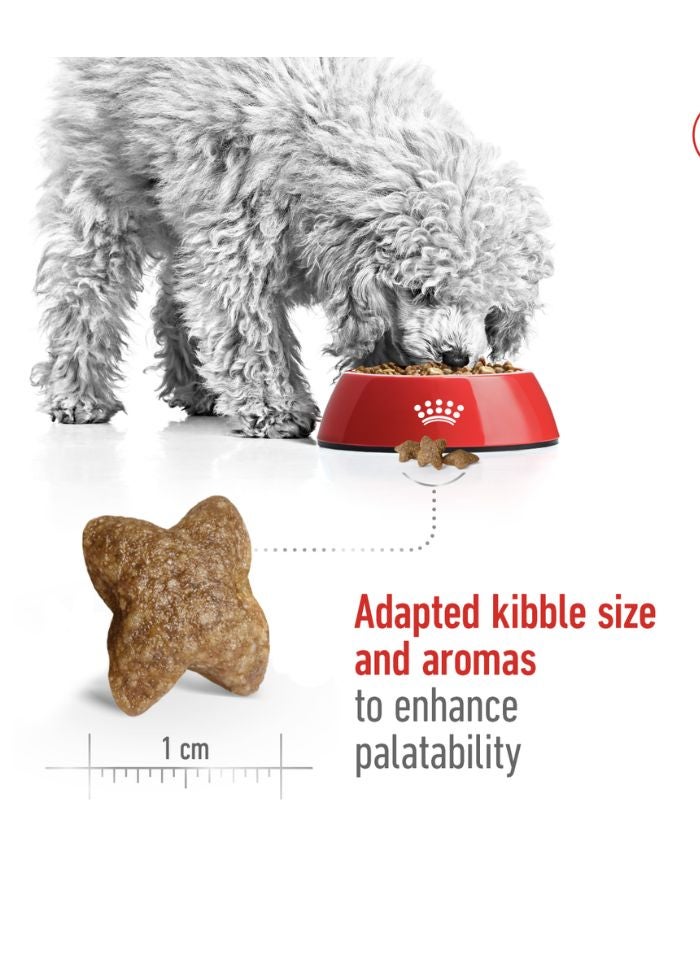 ROYAL CANIN حجم صحة التغذية للبالغين الصغار 2 كجم - Image 3