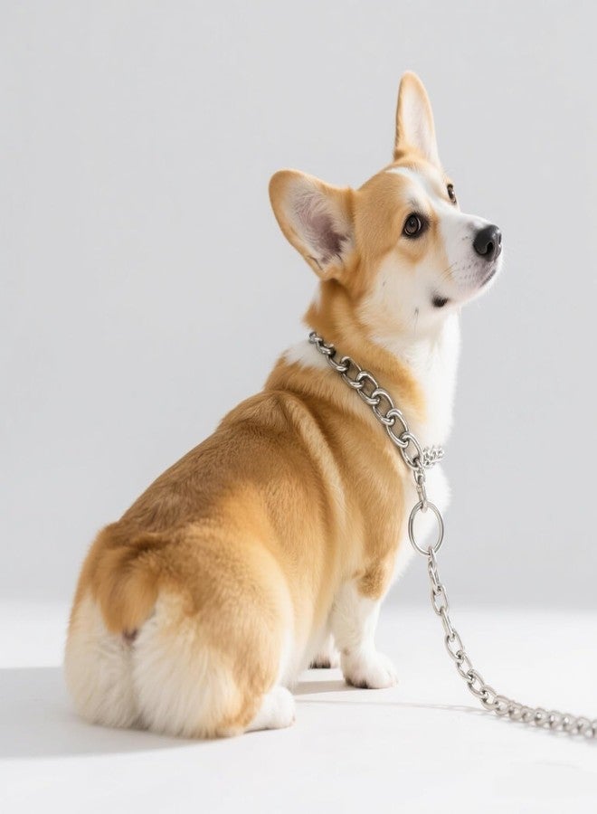 cyhaen Choke Collar for Small Dogs,Choke Chain for Dogs, Adjustable Metal Dog Collar Heavy Duty Martingale Collars for XXS Xs Puppy Small Medium Large Big XL Breed Dogs, Silver XXS - Image 2