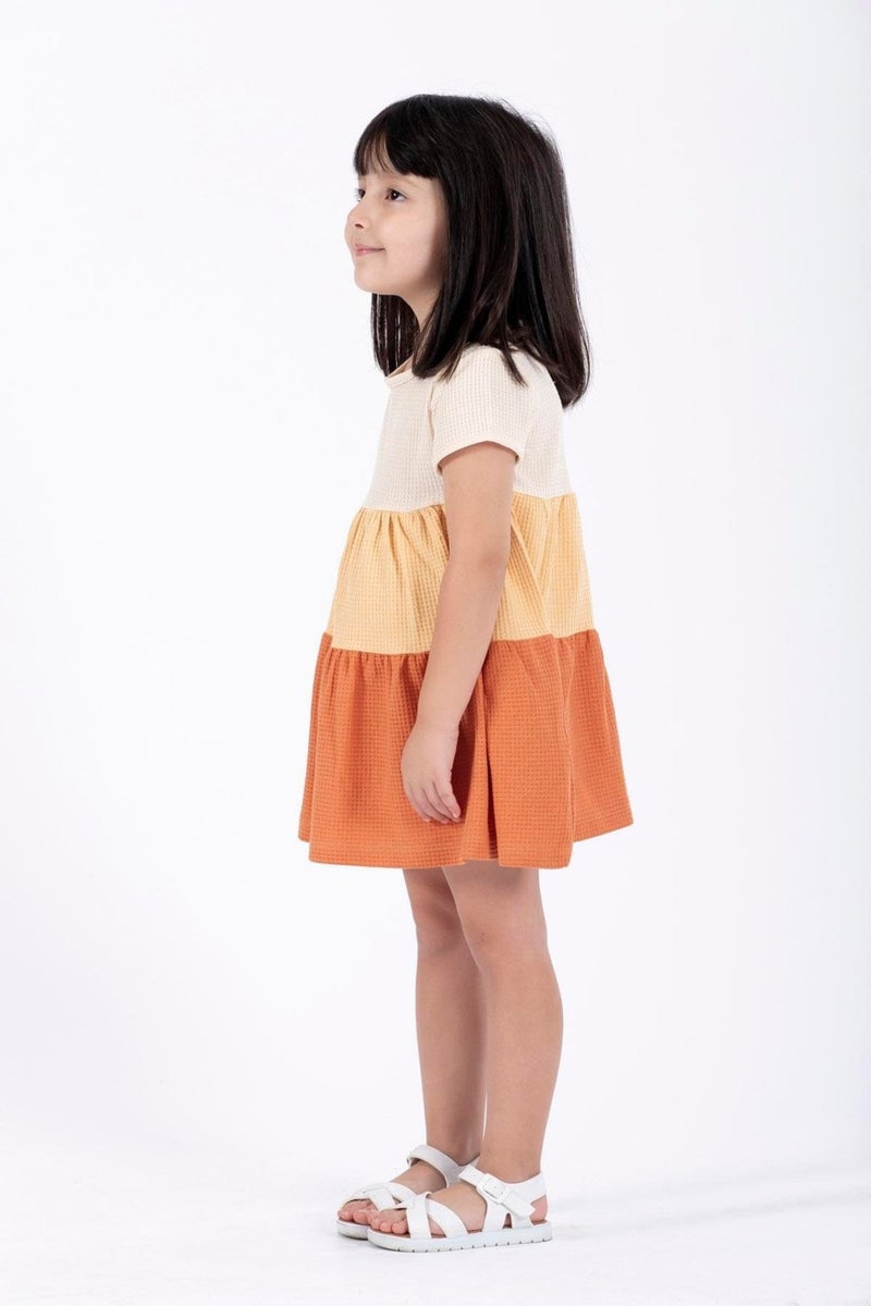 Zepkids Color Block Knit Dress  - Image 3