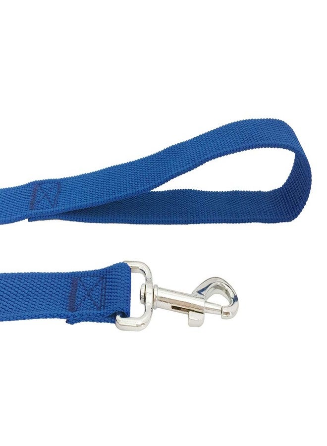 TAIDA 20ft 30ft 40ft 50ft Nylon Long Training Dog Leash for Small Medium Large Dogs, Long leashes Dog/Puppy Lead for Obedience Recall Training, Camping, or Backyard, 1 inch Wide (20 Foot, Blue) - Image 4