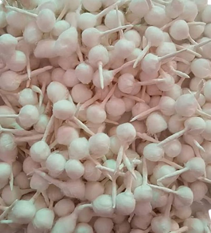 On Blow On Blow Round Cotton Wicks GOL Batti for Diya Ideal for Puja Rituals 100 Pieces White  - Image 1