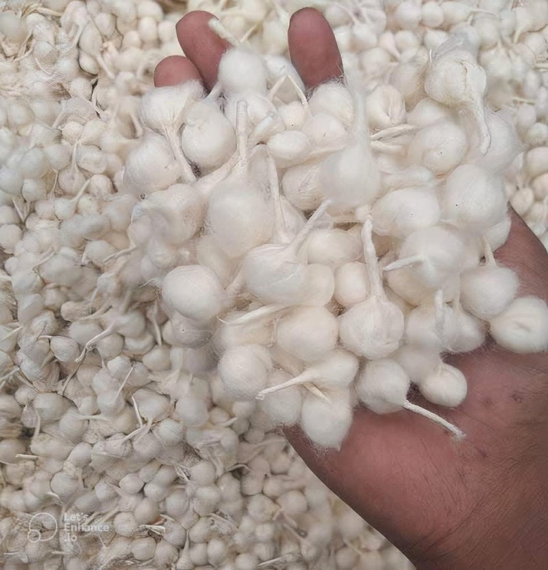 On Blow On Blow Round Cotton Wicks GOL Batti for Diya Ideal for Puja Rituals 100 Pieces White  - Image 2