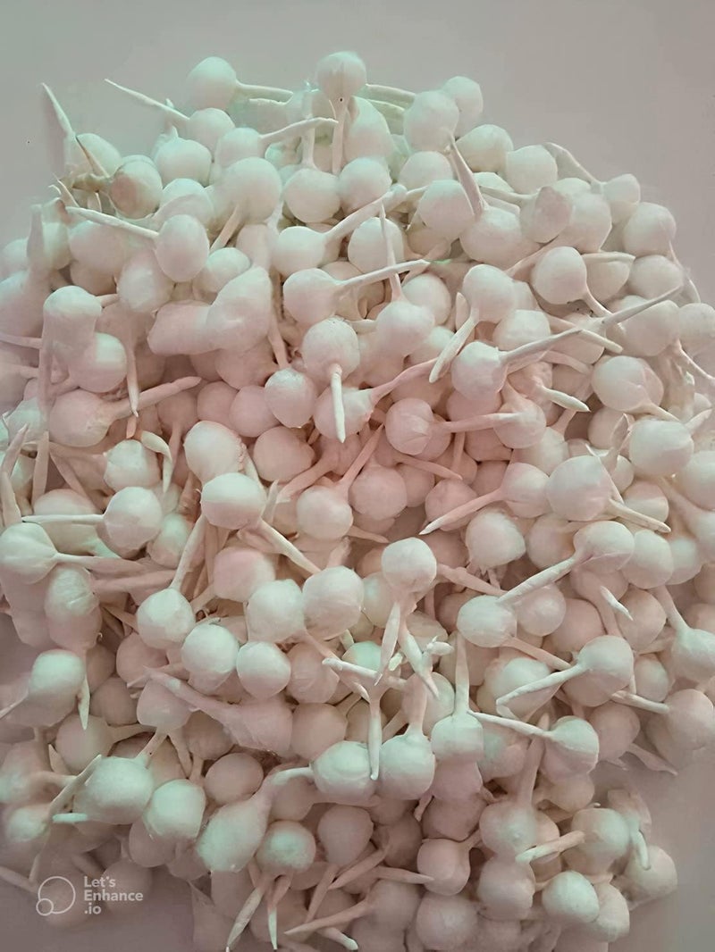 On Blow On Blow Round Cotton Wicks GOL Batti for Diya Ideal for Puja Rituals 100 Pieces White  - Image 3