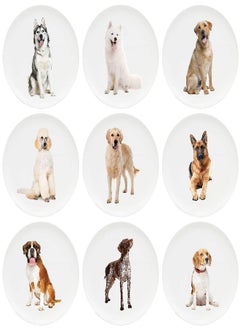 Youngever 10 Inch Plastic Plates, Large Plates, Dinner Plates, Set of 9 (Dog Theme) - pzsku/Z40050A9B9CB28F0C2BBFZ/45/_/1694167829/9494a42e-f4ac-4f37-a83a-2a59d4e02bd7