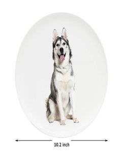 Youngever 10 Inch Plastic Plates, Large Plates, Dinner Plates, Set of 9 (Dog Theme) - pzsku/Z40050A9B9CB28F0C2BBFZ/45/_/1694167830/44123d98-7d56-42c1-935e-000a6cd3a604