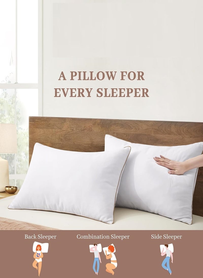 Blueberry 2 Piece Pack Golden Piping Pillow- Single Piping Pillow 50x70cm Made in Uae - Image 3