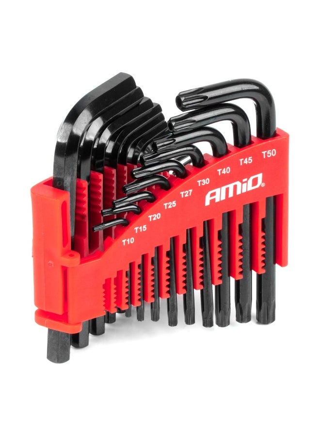 AMIO 22-Piece HEX & TORX Key Set CR-V Steel – Professional Allen and Star Key Set with Storage Holder AMIO 04297 - Image 1