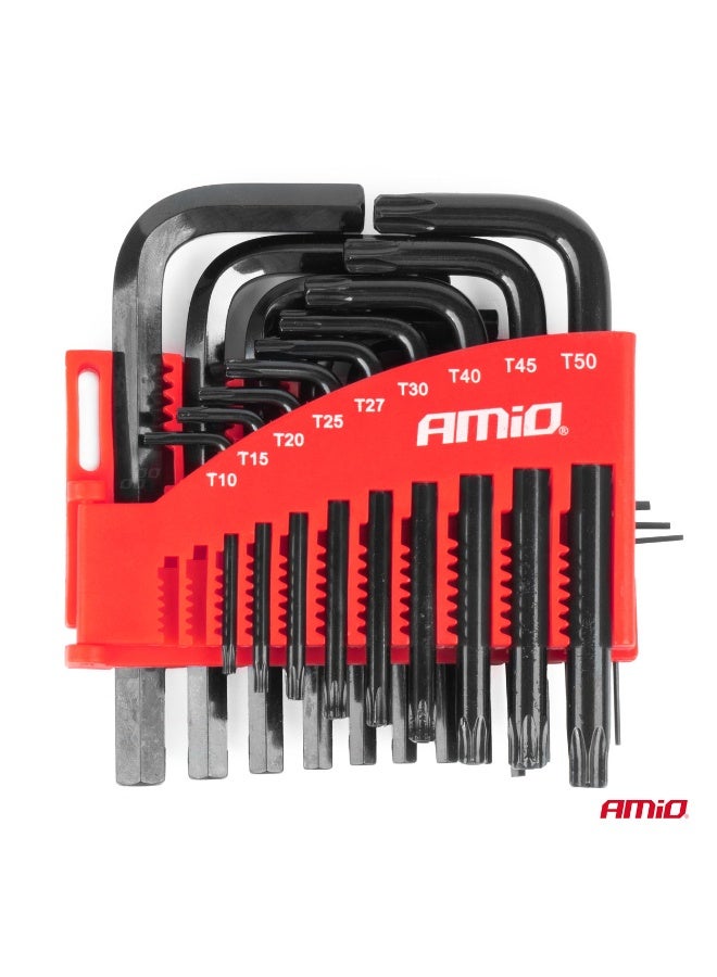 AMIO 22-Piece HEX & TORX Key Set CR-V Steel – Professional Allen and Star Key Set with Storage Holder AMIO 04297 - Image 2