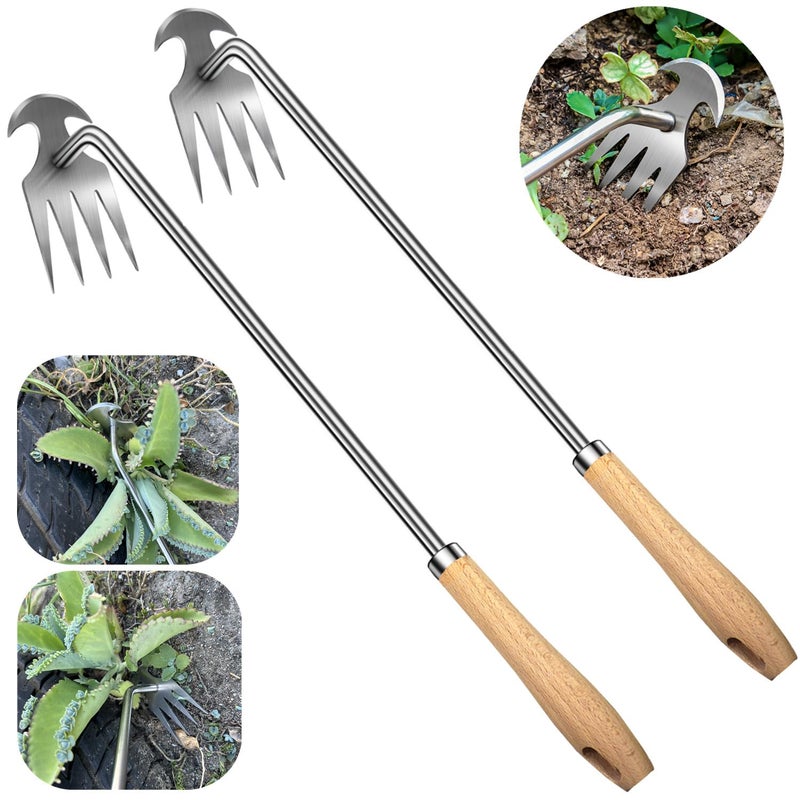 Semifrut 2pack 16inch Weed Puller ToolWeeding Tool4 Teeth Stainless Steel Hand Weeder for Effortless WeedingPortable Uprooting Tool for Vegetable GardeningBackyardFarm Wooden HandleStainless Steel - Image 2