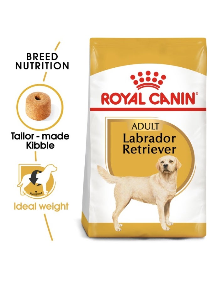 ROYAL CANIN Breed Health Nutrition Labrador Adult 3 KG - Image 1
