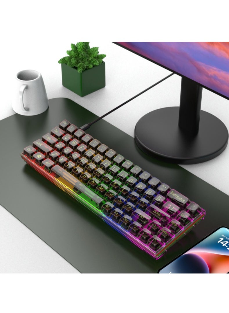 JoyousSto - 65% Wired RGB Transparent Gaming Keyboard, 68-key Compact Fully Transparent Mechanical Keyboard with Translucent Plate, Custom Linear Switches, Support Win/Linux and Mac OS Black - Image 1