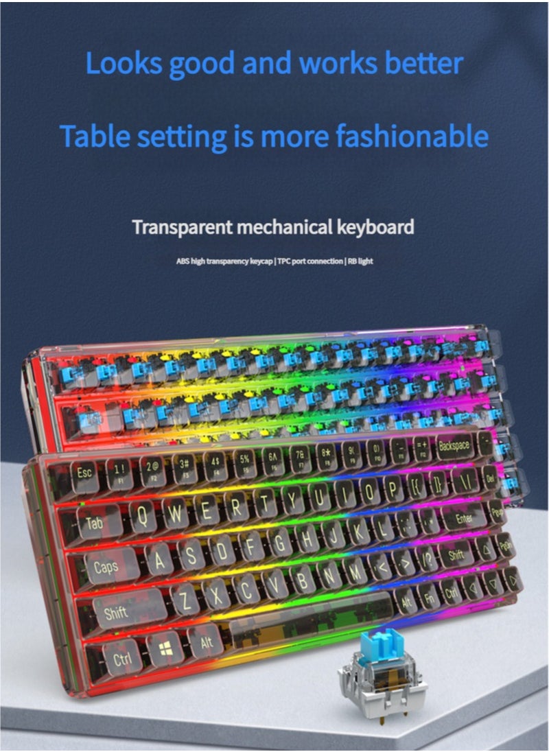 JoyousSto 65% Wired RGB Transparent Gaming Keyboard, 68-key Compact Fully Transparent Mechanical Keyboard with Translucent Plate, Custom Linear Switches, Support Win/Linux and Mac OS Black  - Image 3