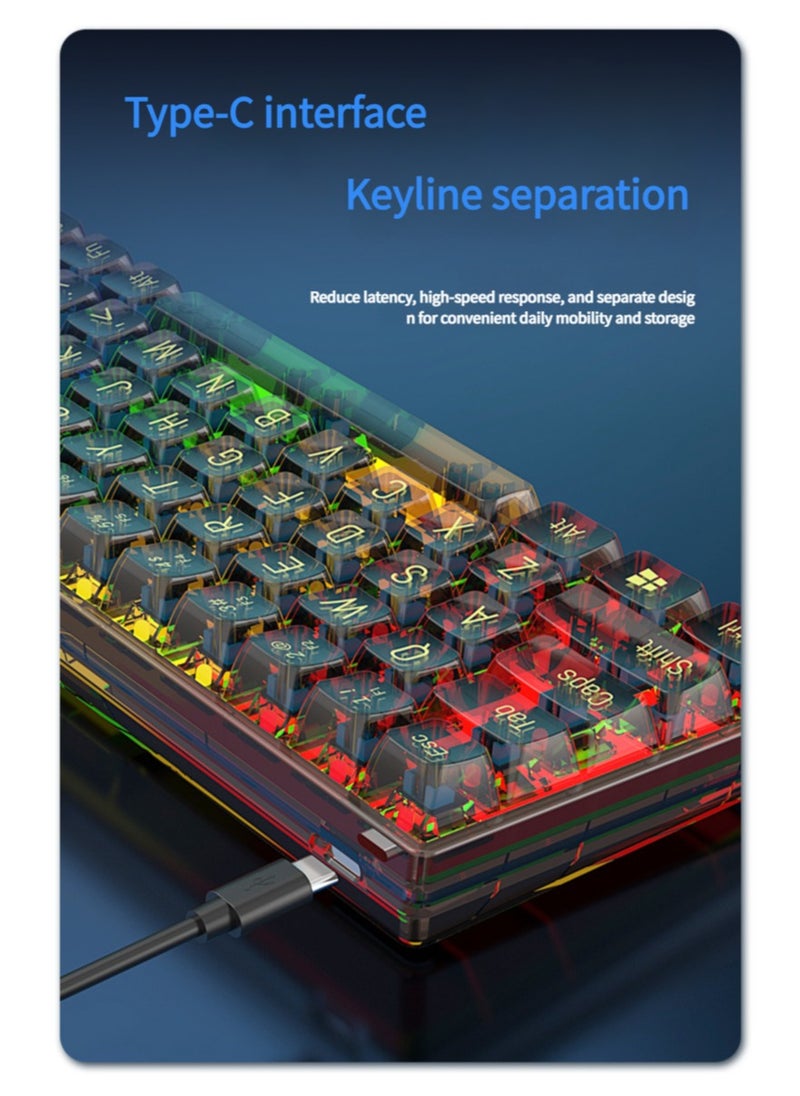 JoyousSto 65% Wired RGB Transparent Gaming Keyboard, 68-key Compact Fully Transparent Mechanical Keyboard with Translucent Plate, Custom Linear Switches, Support Win/Linux and Mac OS Black  - Image 2