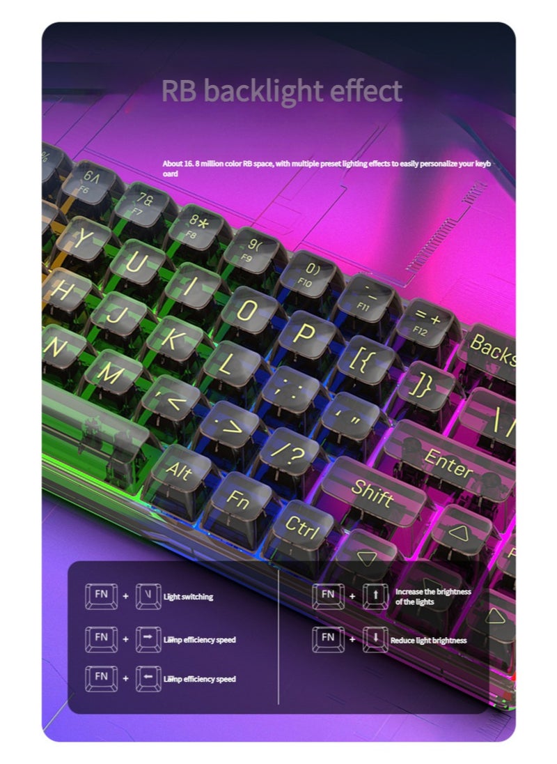 JoyousSto 65% Wired RGB Transparent Gaming Keyboard, 68-key Compact Fully Transparent Mechanical Keyboard with Translucent Plate, Custom Linear Switches, Support Win/Linux and Mac OS Black  - Image 5