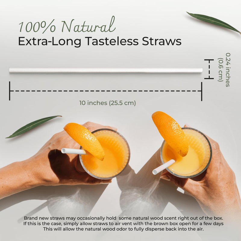 EcoPreps 10â€ Biodegradable Bamboo Fiber Straws, Extra-Long Straw | 100 Count, 100% Compostable, Plastic-Free, Eco-Friendly Drinking Straw | Plant Fiber, Party Jumbo Disposable Straws, 10 Inches Tall - Image 3