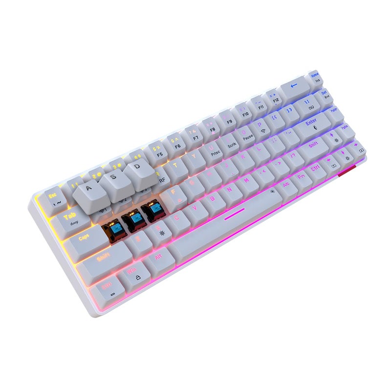 Portronics Hydra 10 Mechanical Wireless Gaming Keyboard with Bluetooth 5.3 + 2.4 GHz, RGB Lights 16.8 Million Colors, Type C Charging, Compatible with PCs, Smartphones and Tablets(Blue) - Image 1