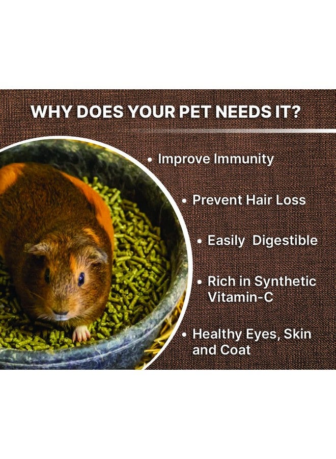 Boltze طعام حبيبات خنزير غينيا لجميع مراحل الحياة، بنكهة الخضار، اختيار أخصائي التغذية (معتمد من ISO 9001)، متوسط الحجم، 1200 جرام - Image 2