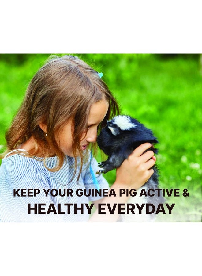 Boltze طعام حبيبات خنزير غينيا لجميع مراحل الحياة، بنكهة الخضار، اختيار أخصائي التغذية (معتمد من ISO 9001)، متوسط الحجم، 1200 جرام - Image 3