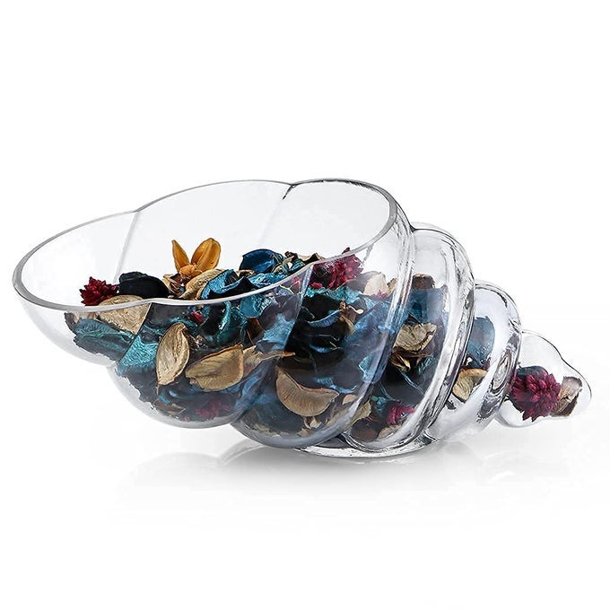GLASS SHELL VASE 11INCH SEASHELL POTPOURRI HOLDER LARGE DECORATIVE CONCH BOWL FOR SHELL COLLECTION DISPLAY SEA GLASS AIR PLANT
