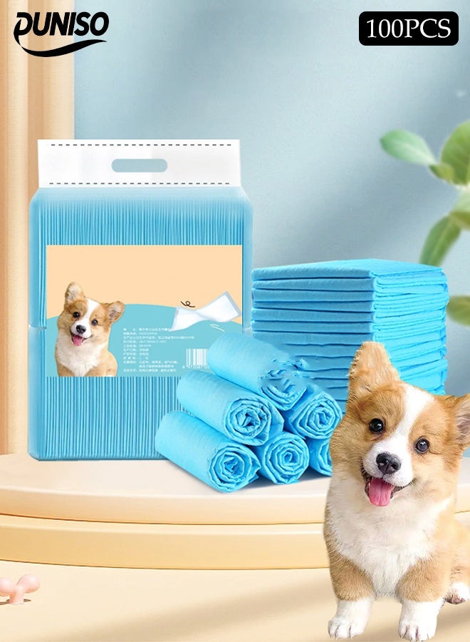DUNISO 100 Pieces Of Pet Training Pads，Disposable Urine Pads，Super Absorbent Pee Pads for Dogs，Leak Proof，Quick Drying，Suitable for All Pets to Use,33*45cm(S) - Image 1