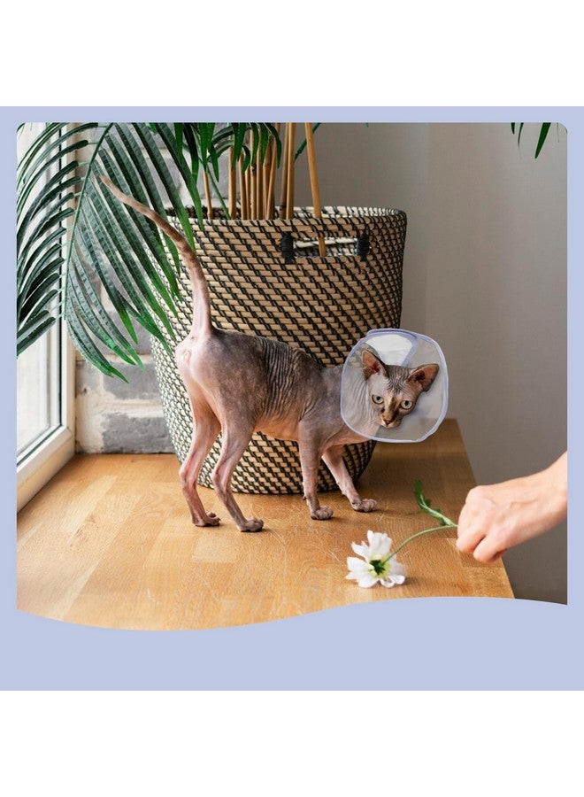 Andiker Cat Cone Collar, Folding Adjustable Cat Recovery Collar with Drawstrings Lightweight Transparent Elizabeth Collar for Dogs and Cats Kittens to Stop Licking and Scratching (Purple, S) - Image 4
