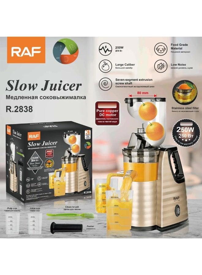RAF Cold Press Juicer 250W 250Bt | Fruit & Vegetable Slow Juice Extractor | Food-Grade Material - Image 1