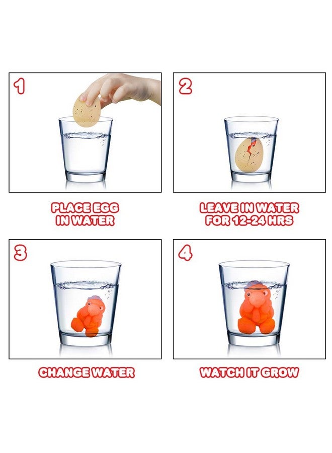 ArtCreativity Growing Turtle Eggs, Set of 2, Hatching Turtle Toys for Boys and Girls, Turtle Birthday Party Favors for Kids, Science Educational Toys for Children, Fun Water Bathtub Toys - Image 4