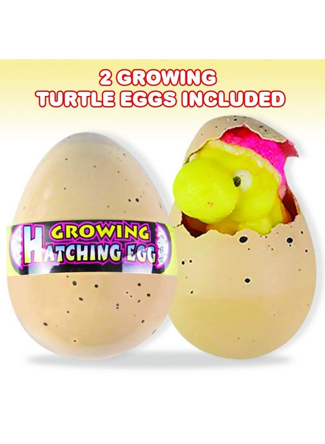 ArtCreativity Growing Turtle Eggs, Set of 2, Hatching Turtle Toys for Boys and Girls, Turtle Birthday Party Favors for Kids, Science Educational Toys for Children, Fun Water Bathtub Toys - Image 2