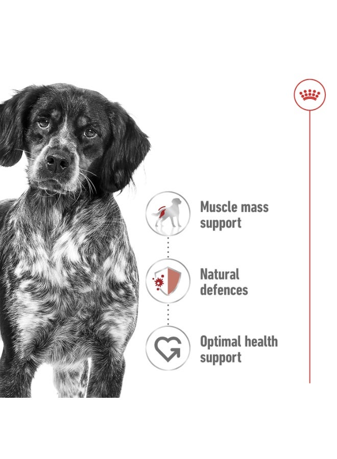 رويال كانين الحجم الصحة والتغذية متوسط ​​للبالغين 4 كجم - Image 2