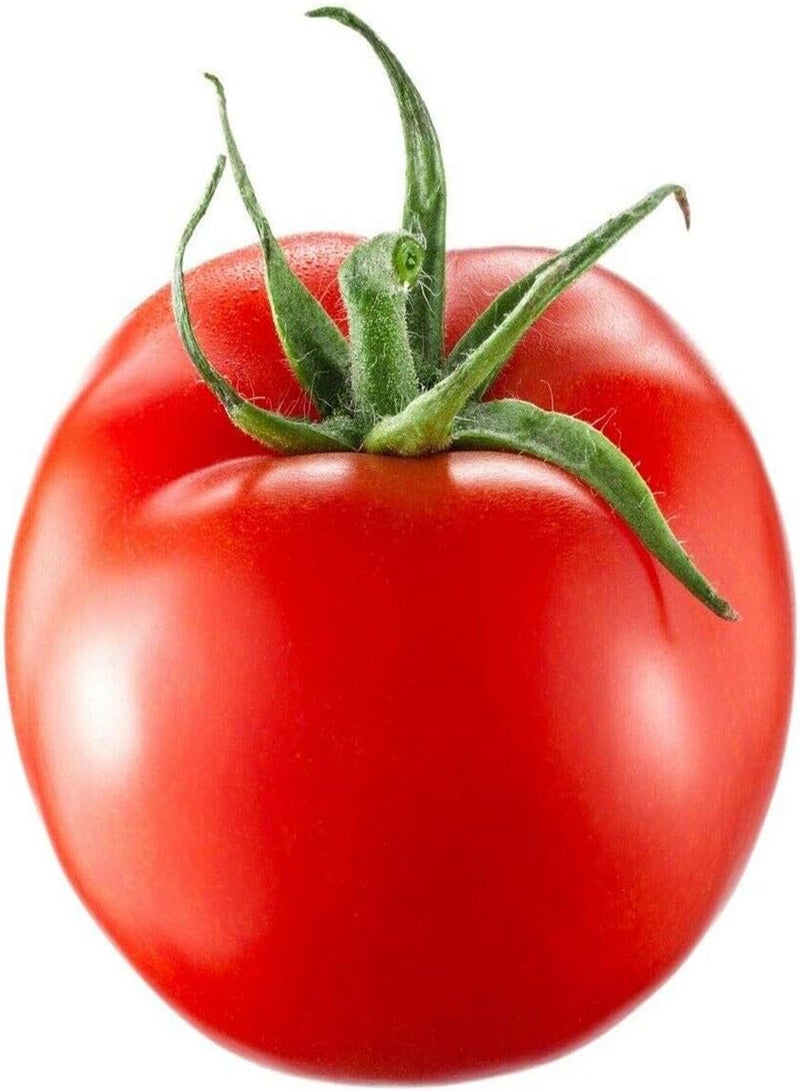 GGOOT Tomato Salad Special 15+ Seeds Heirloom Vegetable Garden Spring Summer Veg Easy  - Image 1