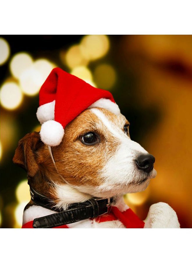 NIBEMINENT Pet Santa Hat 14x20cm - Image 5