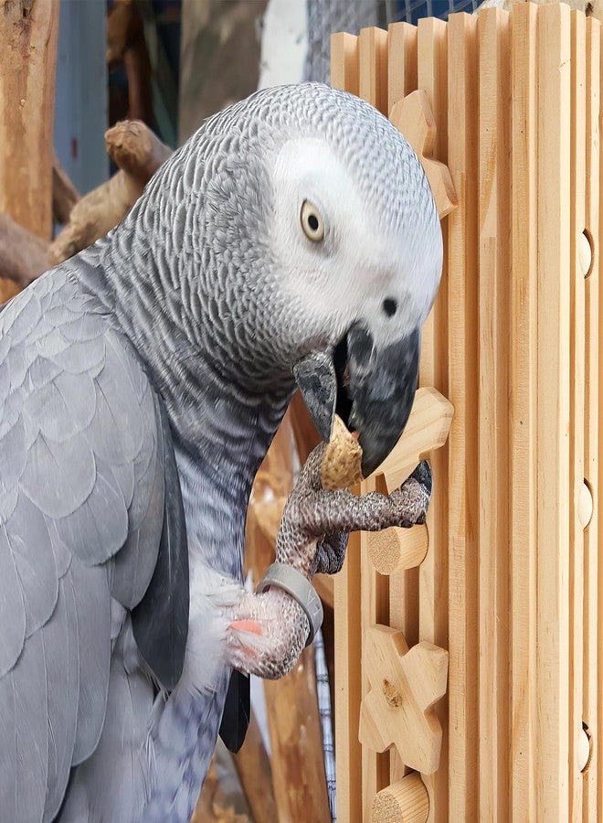 Seenelling مجموعة ألعاب سينيلينج، مقاس 12 × 5 × 4 بوصات، كبيرة جدًا، لعبة ببغاء مكاو، مكعبات أنشطة، متعددة الألوان، مصنوعة من الخشب الطبيعي، ألعاب مضغ لأقفاص الببغاء، مناسبة للببغاوات الكبيرة والمتوسطة. - Image 5