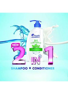 2-In-1 Cool Menthol Anti Dandruff Shampoo + Conditioner For Women & Men, 1L - pzsku/Z401789AC0A9BD6521CD3Z/45/_/1646489838/ba11e4ef-2573-4de4-8ad4-5ab67c2641b4