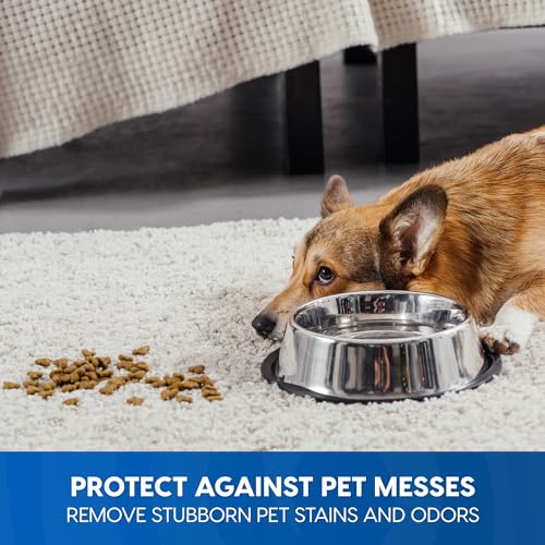 Vacmaster CCS03 Carpet Cleaner Shampoo Solution, 64 oz Spot & Stain Formula for All Carpets, Upholstery & Area Rugs - Image 5