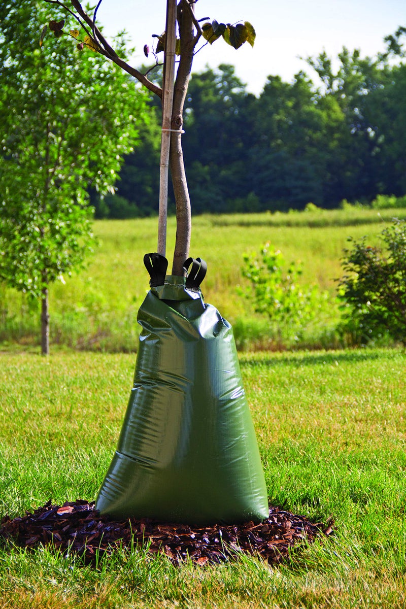 King Innovation 44020 Sapling Soaker , Green - Image 4
