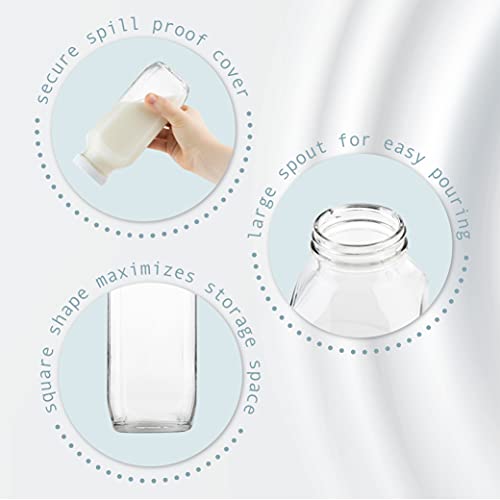 kitchentoolz 16oz Square Glass Milk Bottle with Lid - Airtight Vintage Reusable Dairy Drinking Jars Containers for Milk, Yogurt, Smoothies, Juice, Kefir, & Water -2 Pack 16 oz Glass Bottles with Lids - Image 3