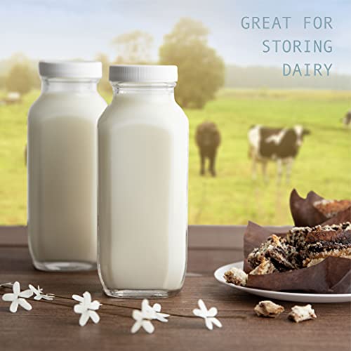 kitchentoolz 16oz Square Glass Milk Bottle with Lid - Airtight Vintage Reusable Dairy Drinking Jars Containers for Milk, Yogurt, Smoothies, Juice, Kefir, & Water -2 Pack 16 oz Glass Bottles with Lids - Image 2