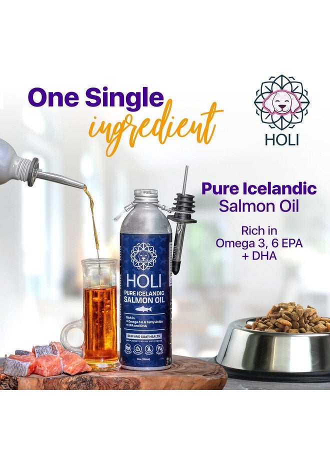 هولي زيت السلمون من HOLI لبشرة وفراء الكلاب | زيت السمك الأيسلندي للقطط والكلاب | أوميغا 3 EPA + DHA يدعم حركة المفاصل والجهاز المناعي وصحة القلب - Image 2