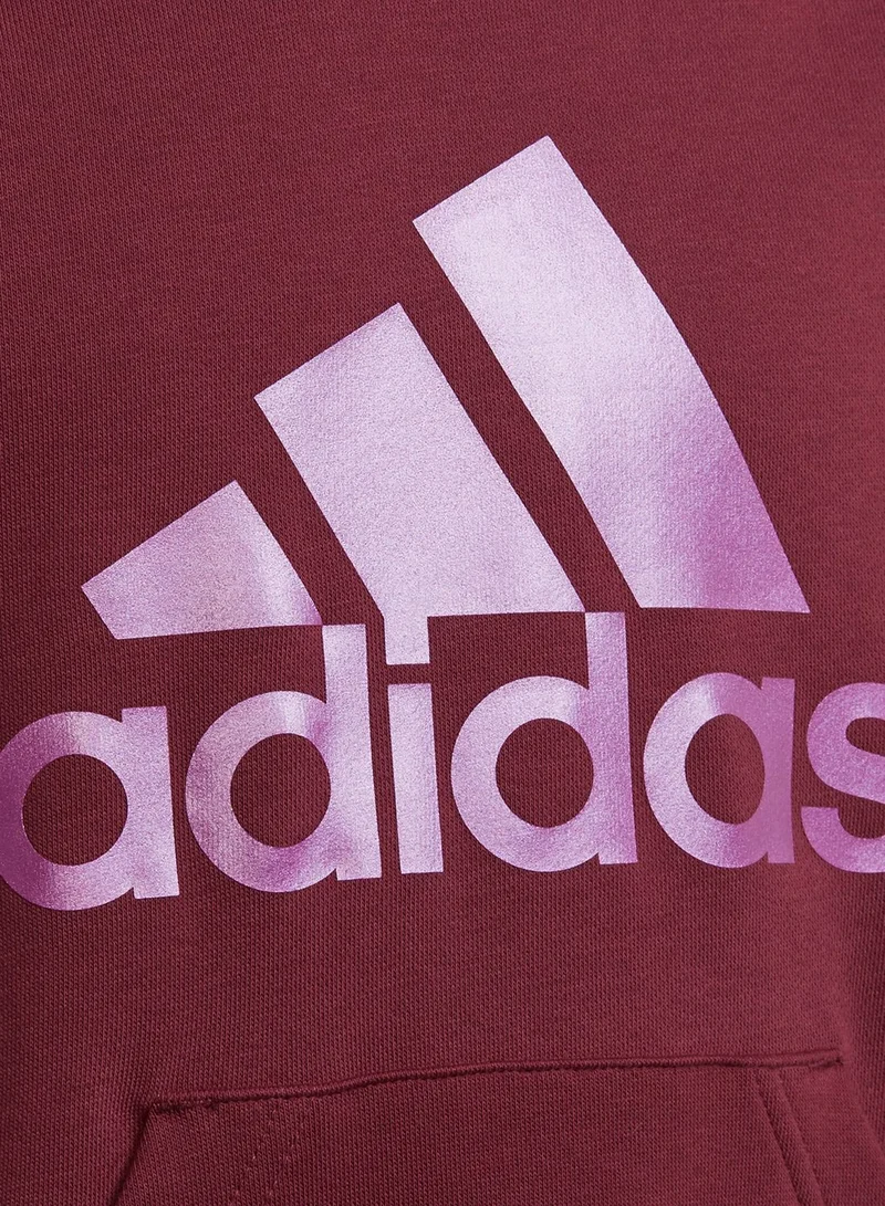 Adidas Youth Badge Of Sport Hoodie