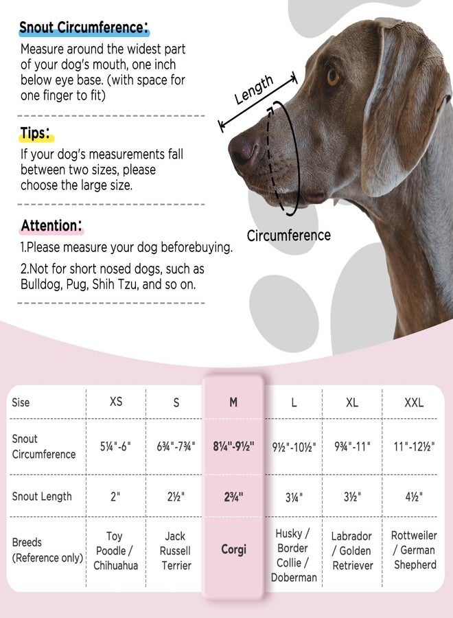 BONTHEE Dog Muzzle,Mesh Soft Muzzle for Small Medium Large Sized Dogs, Breathable Reflective Adjustable Puppy Muzzles with Collar for Scavenging Grooming Biting Chewing,Allows Panting and Drinking(Pink M) - Image 3