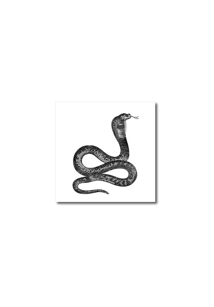 3DROSE Black and White Vintage Cobra Snake Iron On Heat Transfer - 20cm x 20cm for Light Colored Fabrics - Image 1