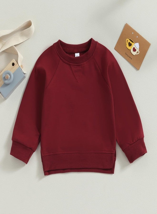 Lukivech Toddler Baby Boy Girl Clothes Solid Color Crewneck Sweatshirt Long Sleeve Pullover T Shirt Tops Fall Winter Outfit (Wine Red, 2-3 Years) - Image 3