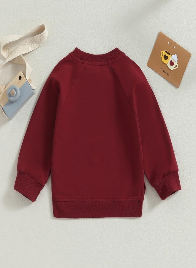 Lukivech Toddler Baby Boy Girl Clothes Solid Color Crewneck Sweatshirt Long Sleeve Pullover T Shirt Tops Fall Winter Outfit (Wine Red, 2-3 Years) - Image 4