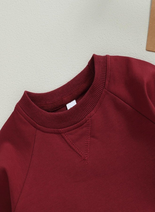 Lukivech Toddler Baby Boy Girl Clothes Solid Color Crewneck Sweatshirt Long Sleeve Pullover T Shirt Tops Fall Winter Outfit (Wine Red, 2-3 Years) - Image 2